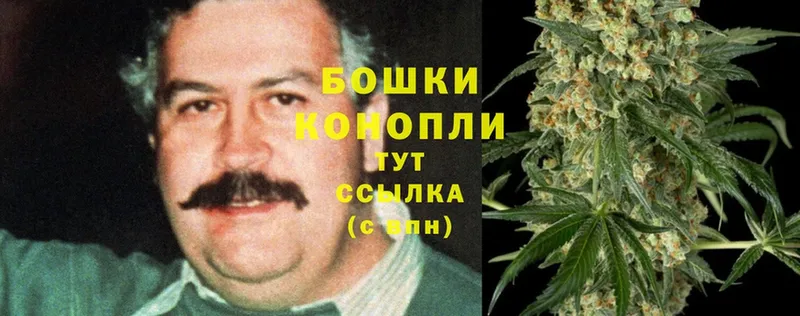 площадка клад  Нея  OMG   Марихуана THC 21%  наркотики 